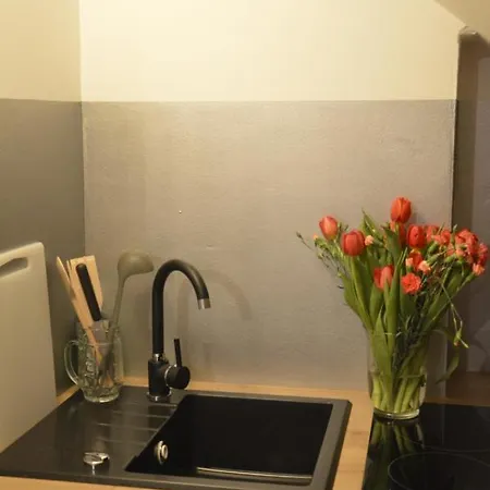 Apartamenty Agroturystyczne Papiernia Niedzwiedz Exterior photo