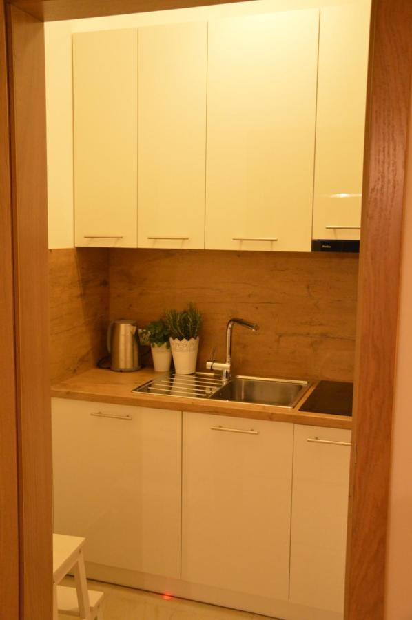 Agroturystyczne Papiernia Apartment