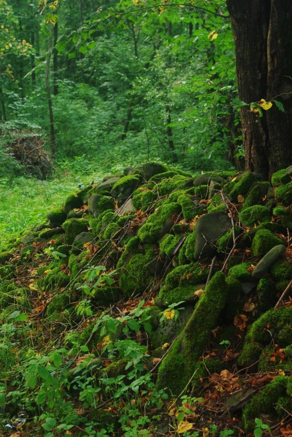 Agroturystyczne Papiernia Niedzwiedz